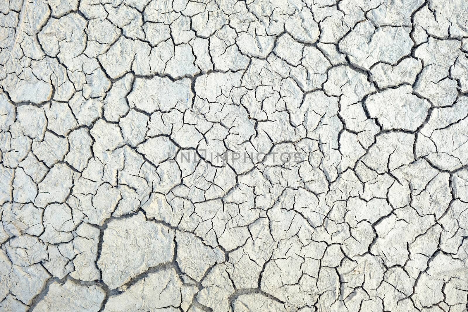 Cracked White Dry Soil Texture Background.