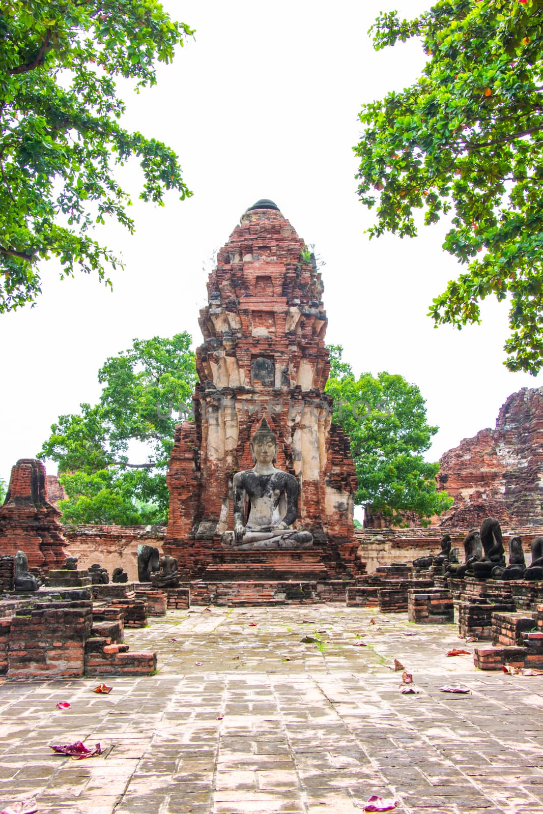Pagoda and Buddha statues old at Wat Mahathat famous and popular tourist destinations Ayutthaya, Thailand.
