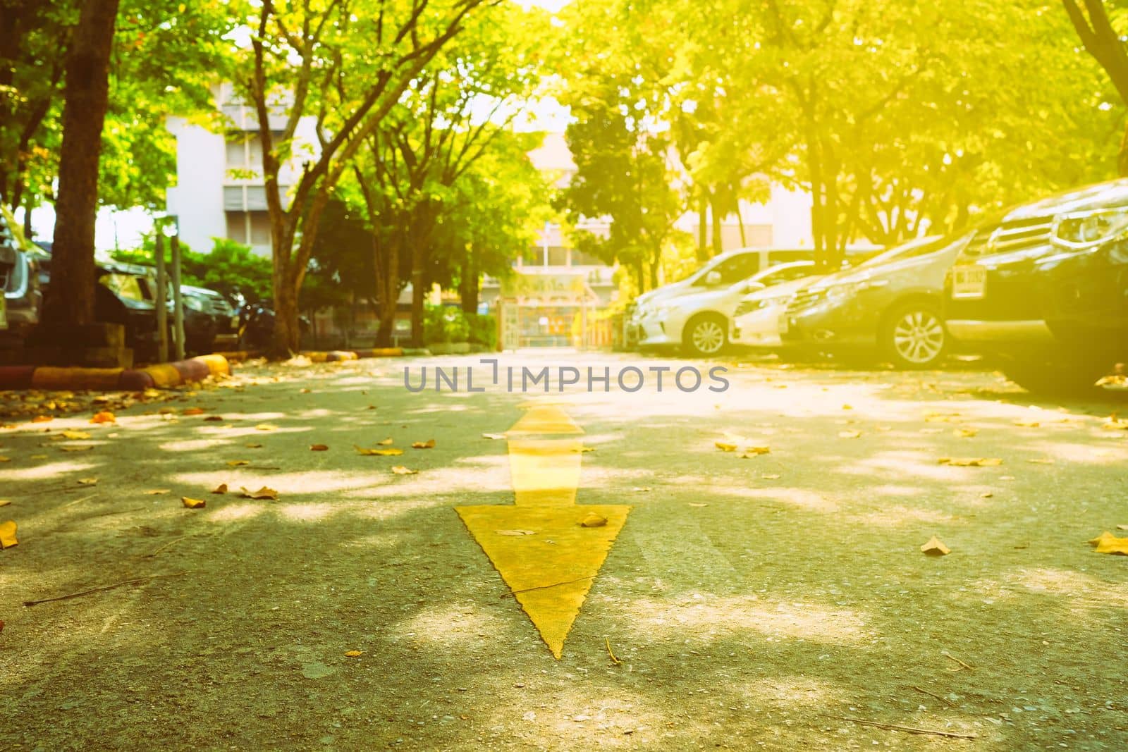 Arrow Sign on The Ground with Light Leak. by mesamong