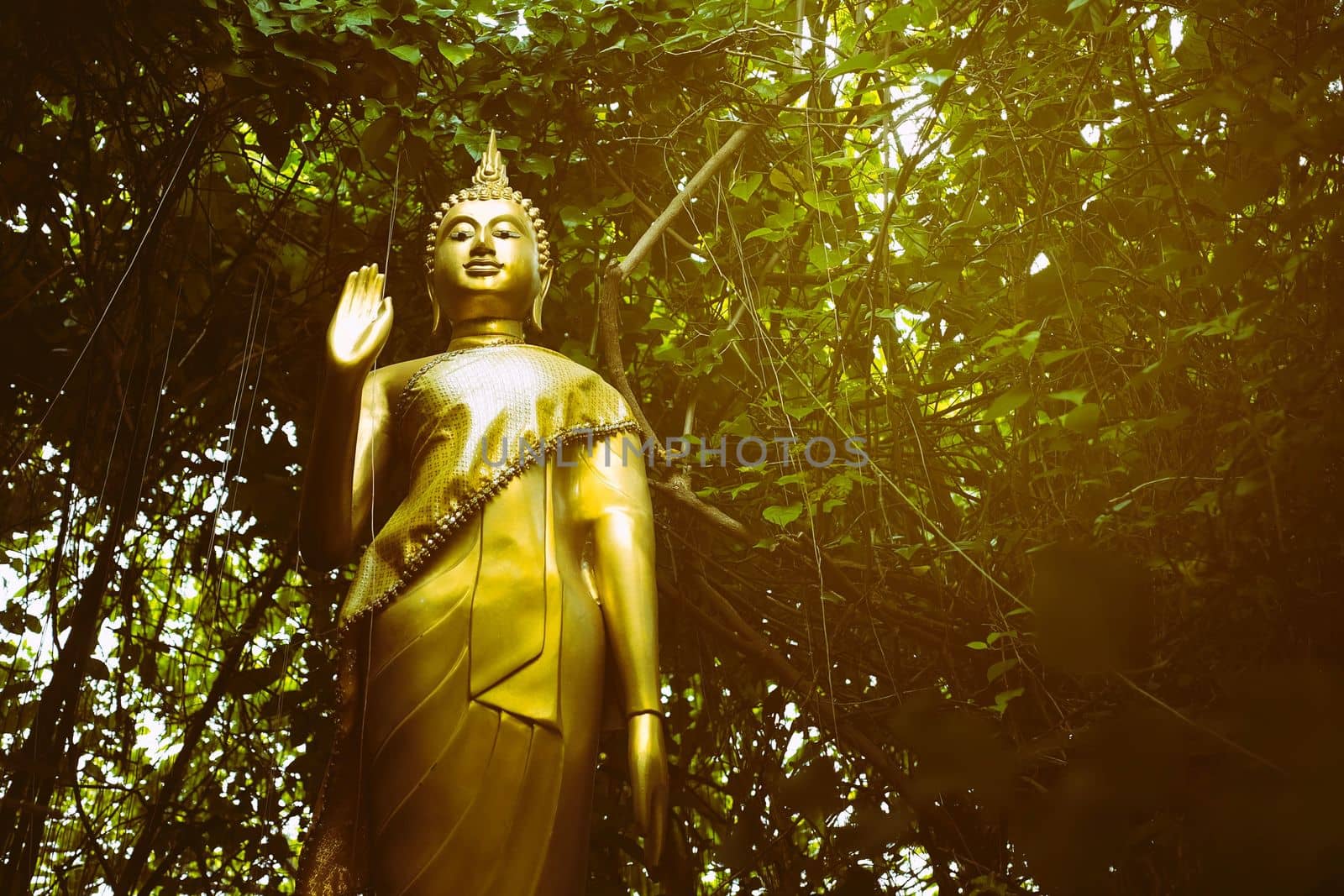 Golden Buddha Image in Park with Light Leak.