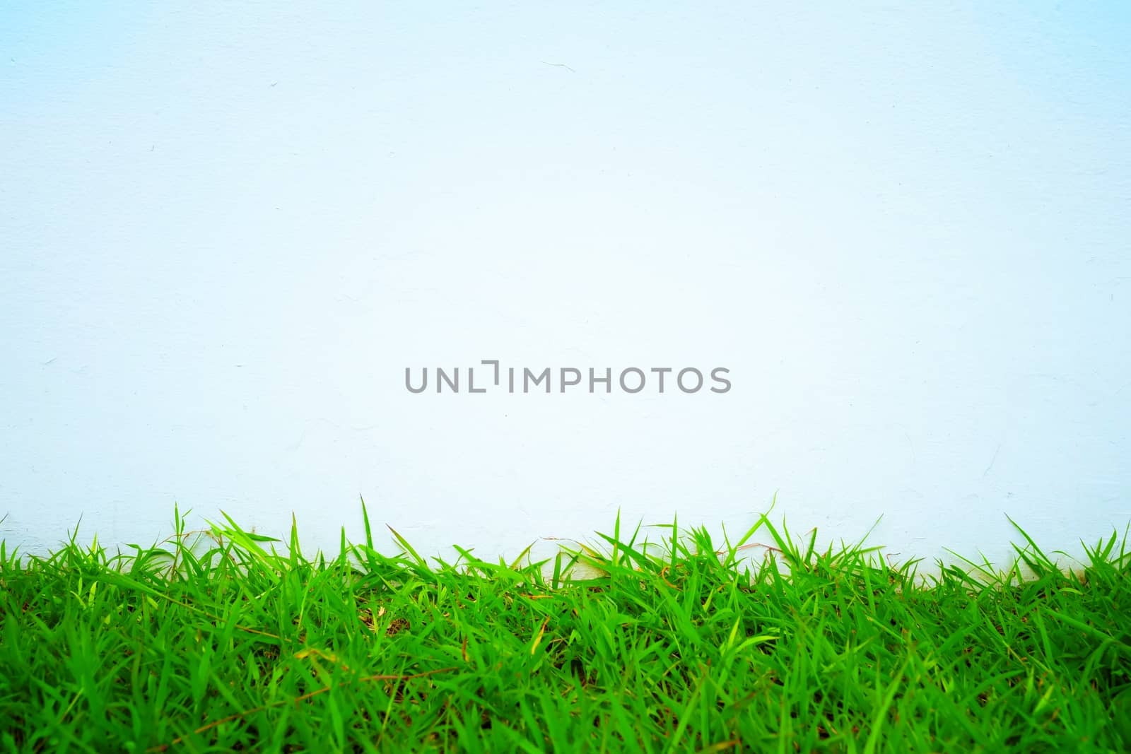 White Concrete Wall Background with Lawn Field.