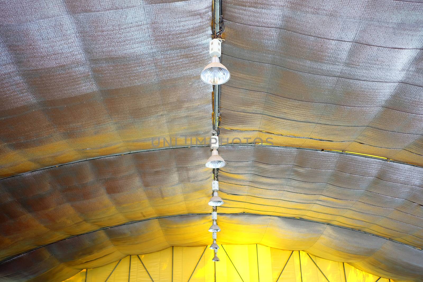 Hanging Lamps inside Big Tent with Heat Shield.