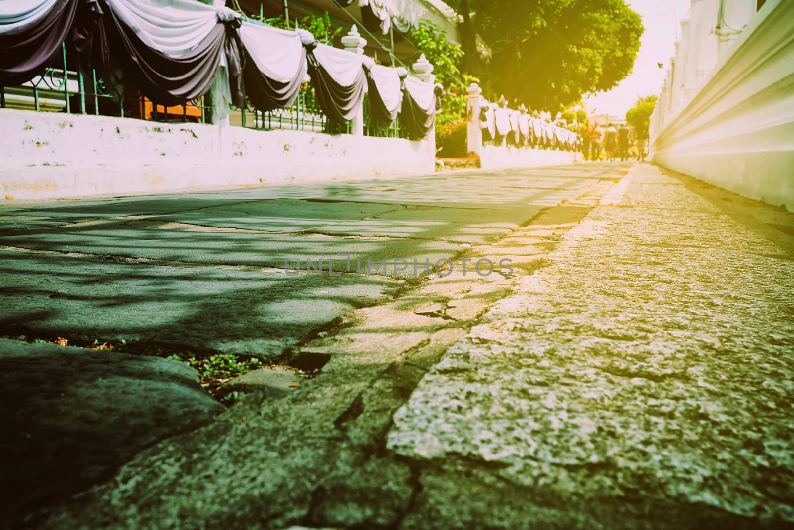 Bottom View of Pathway with Light Leak Background.