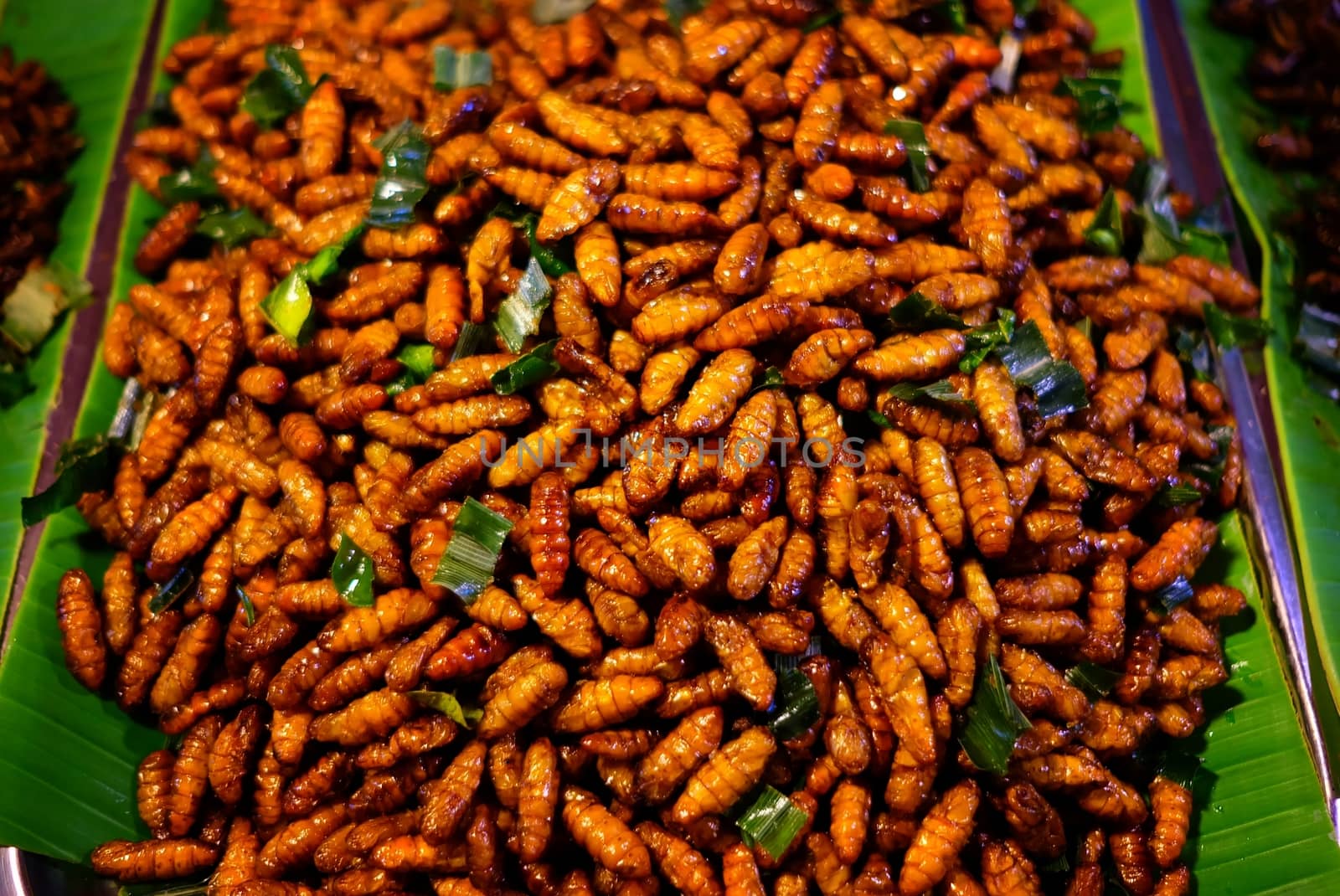 Fried Silkworm Pupae, A Famous Thai Street Food Recipe.