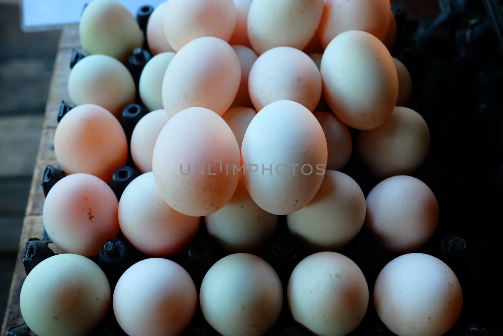 Fresh Duck Eggs in Plastic Egg Panel.