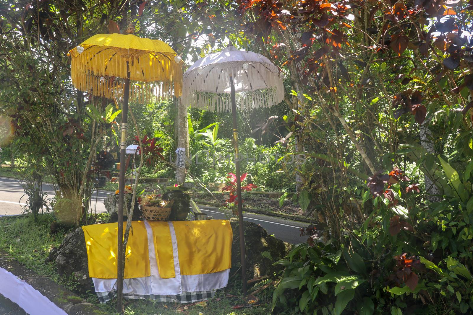 Hindu temple near to Batukaru temple on Bali island in Indonesia. Tabernacle of the Believing Balinese. Balinese culture, closeup of yellow and white decorative umbrelas among tropical plants.