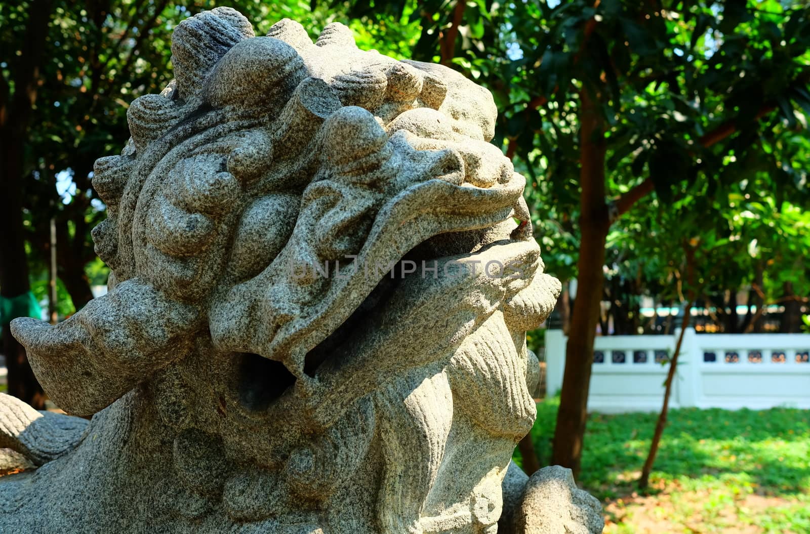 Close-up Lion Statue in Park. by mesamong