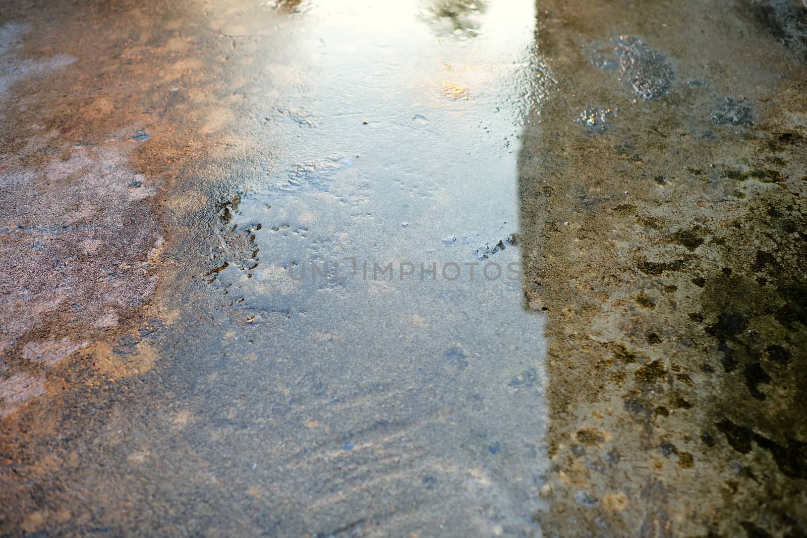 Wet Concrete Ground.