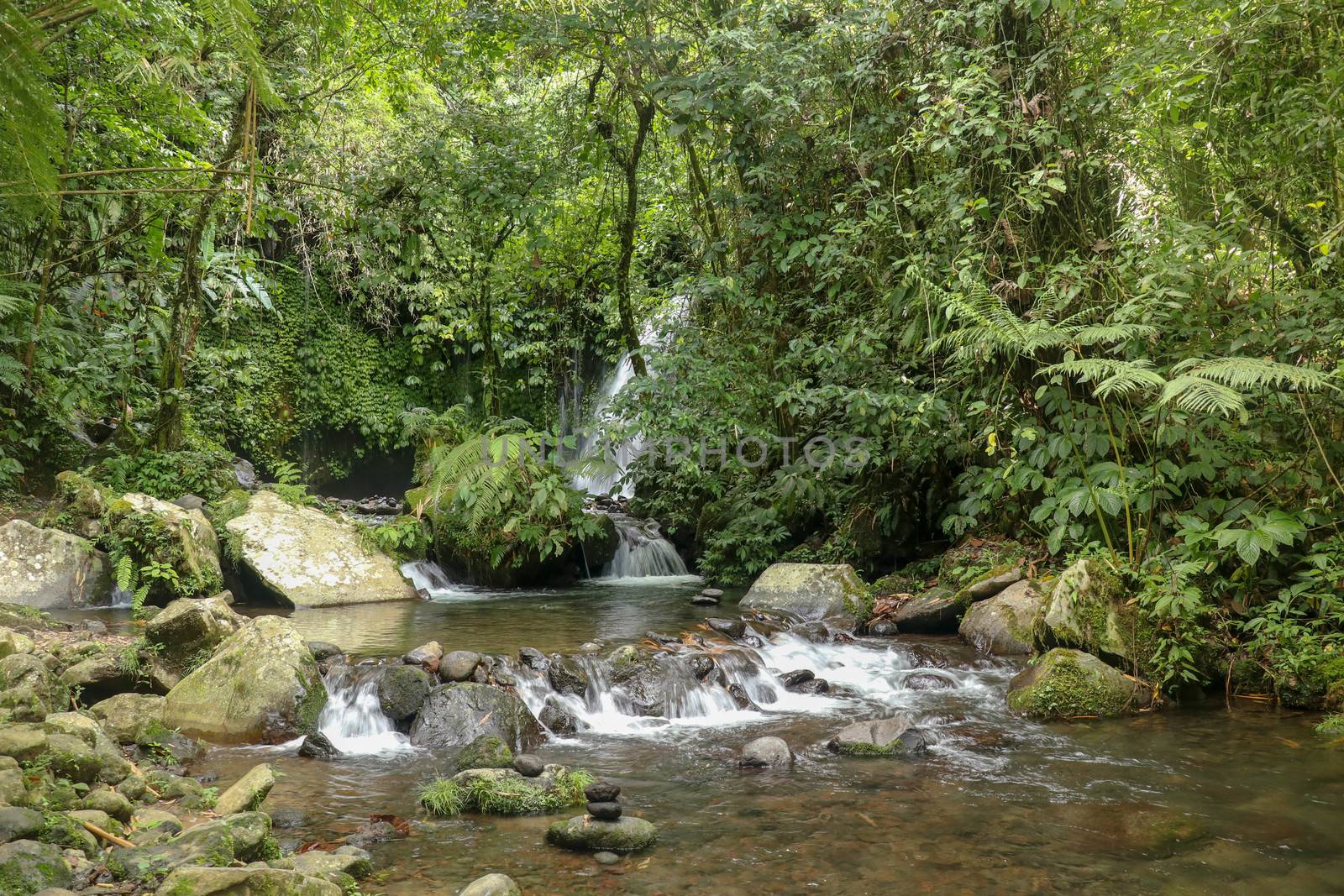 Water Flow Through Stones In Yeh Ho River in tropical jungle. Beautiful waterfall is located in the lush rice field-laden Penebel village in Tabanan near to Jatiluwih rice terrace in Bali, Indonesia.