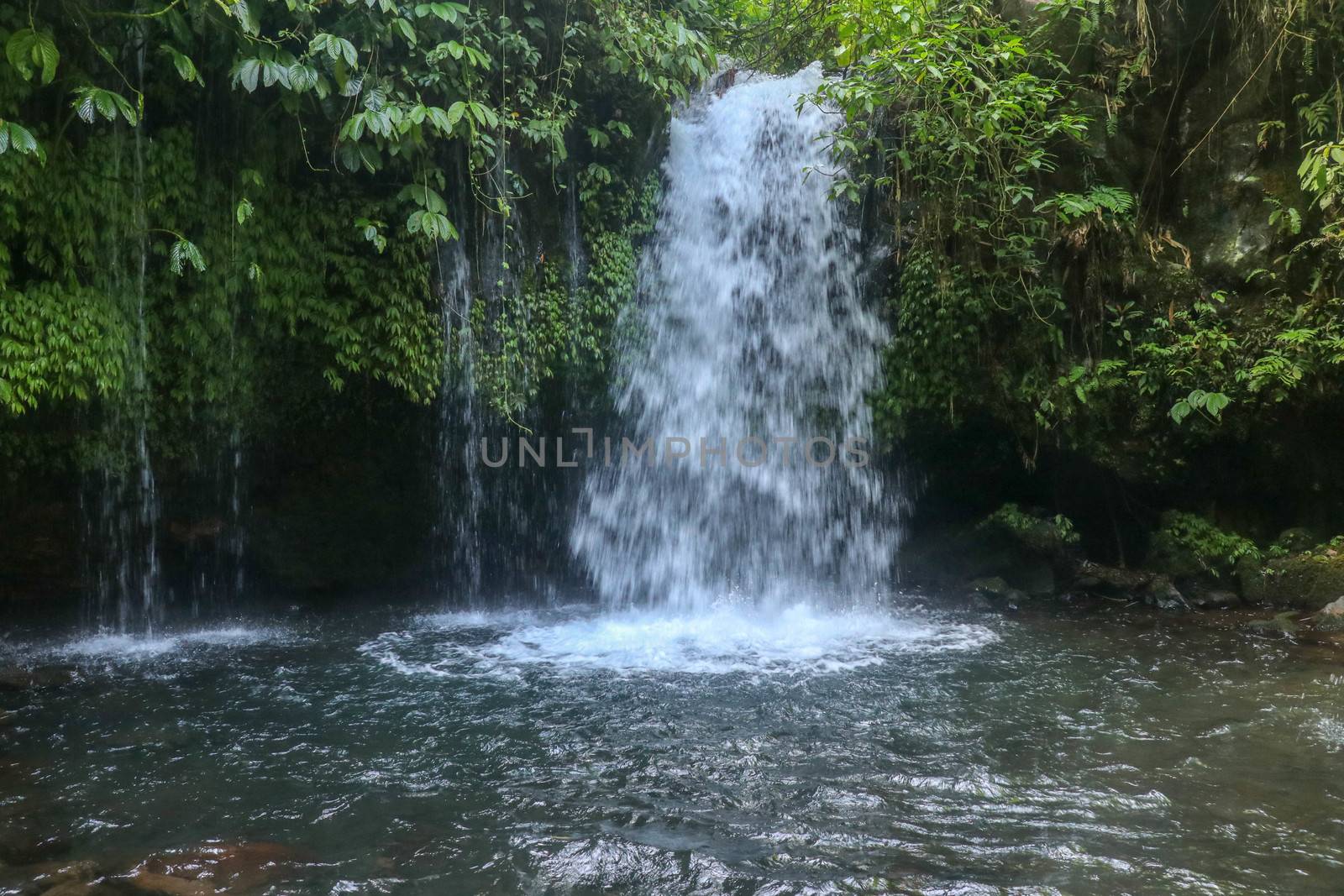 Yeh Ho Waterfall is located in the lush rice field-laden Penebel village in Tabanan. Waterfall near to Jatiluwih rice terrace in Bali, Indonesia. Beautiful waterfall in deep tropical jungle.