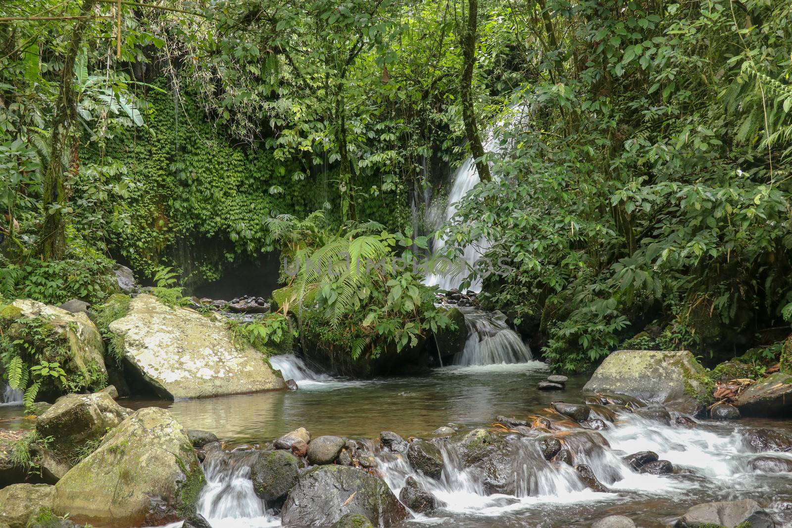 Water Flow Through Stones In Yeh Ho River in tropical jungle. Beautiful waterfall is located in the lush rice field-laden Penebel village in Tabanan near to Jatiluwih rice terrace in Bali, Indonesia.