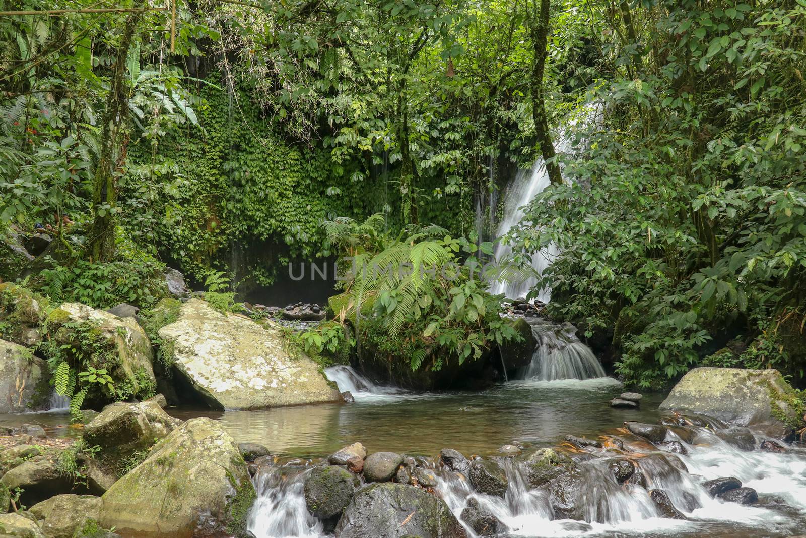 Water Flow Through Stones In Yeh Ho River in tropical jungle. Beautiful waterfall is located in the lush rice field-laden Penebel village in Tabanan near to Jatiluwih rice terrace in Bali, Indonesia.