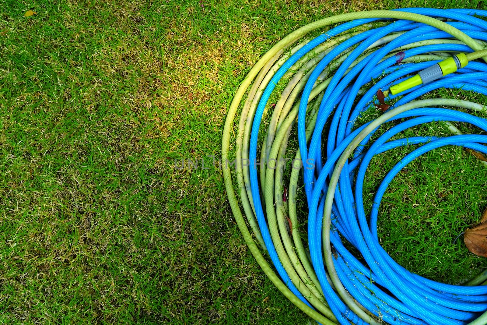 Closed-up Garden Hose on Grass. by mesamong