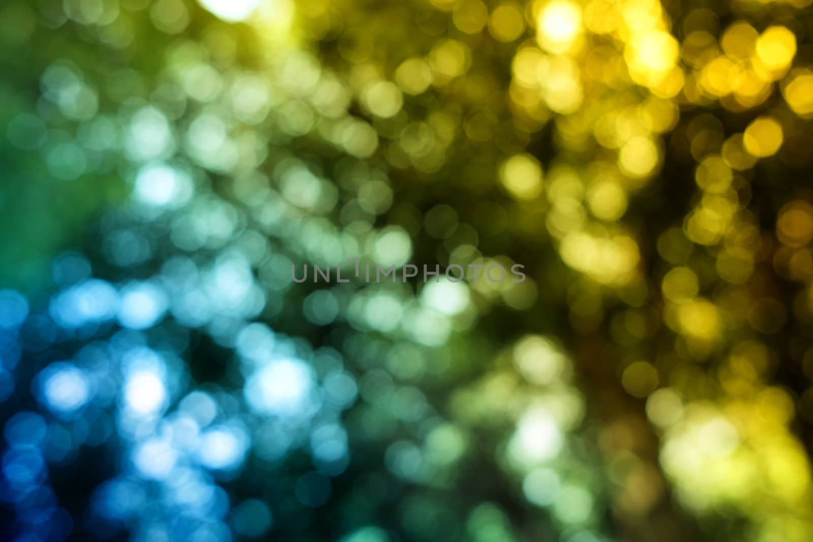 Abstract Colorful Bokeh Background.