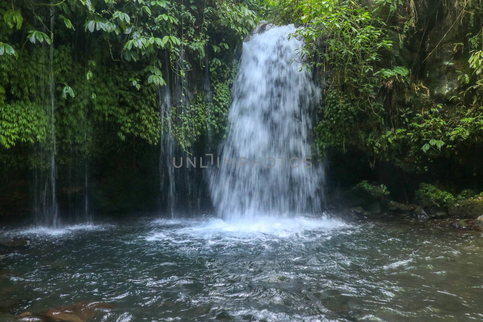 Yeh Ho Waterfall is located in the lush rice field-laden Penebel village in Tabanan. Waterfall near to Jatiluwih rice terrace in Bali, Indonesia. Beautiful waterfall in deep tropical jungle.