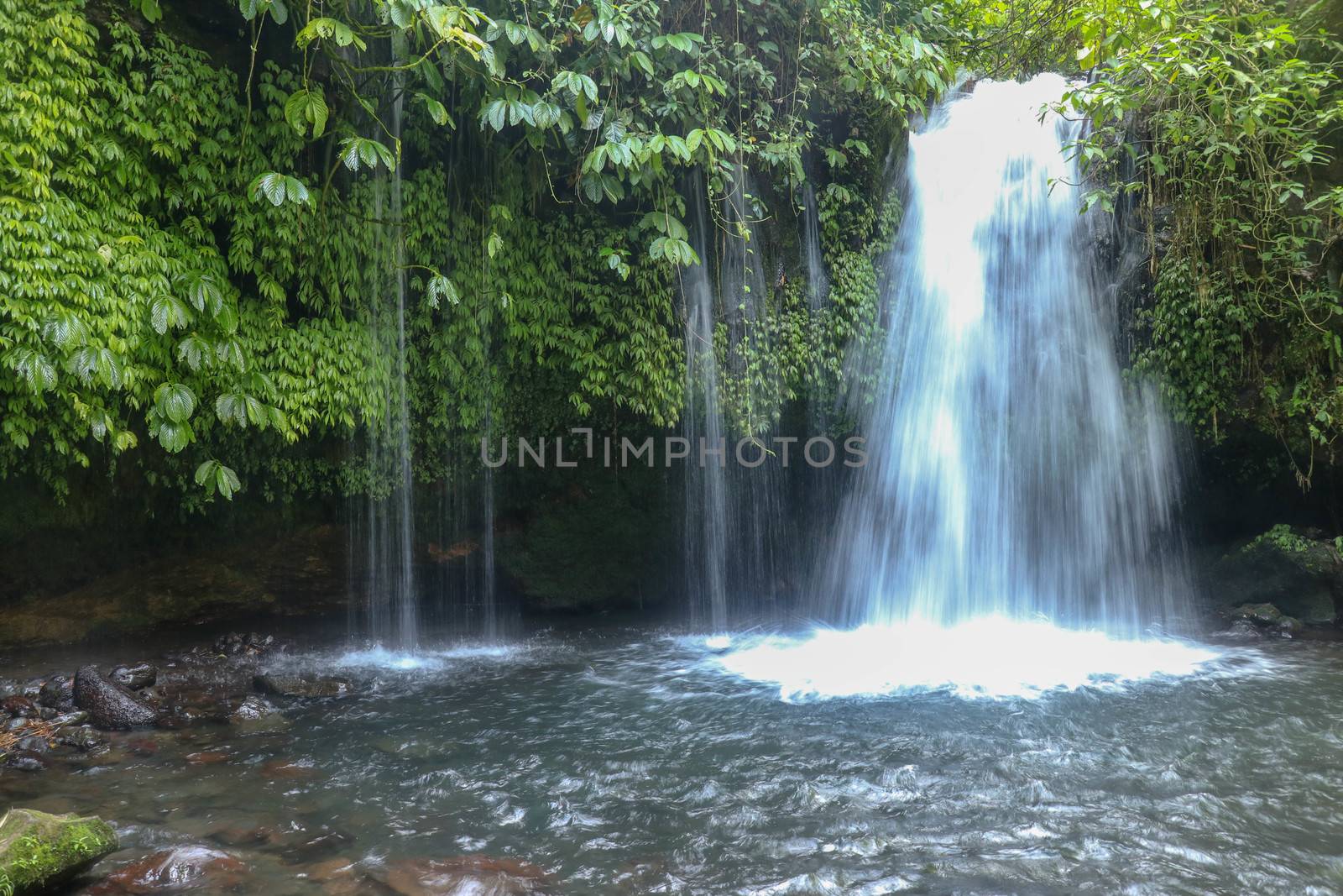 The Stream of Yeh Ho Waterfall, is located in the lush rice field-laden Penebel village in Tabanan near to Jatiluwih rice terrace in Bali, Indonesia. Beautiful waterfall in deep tropical jungle.
