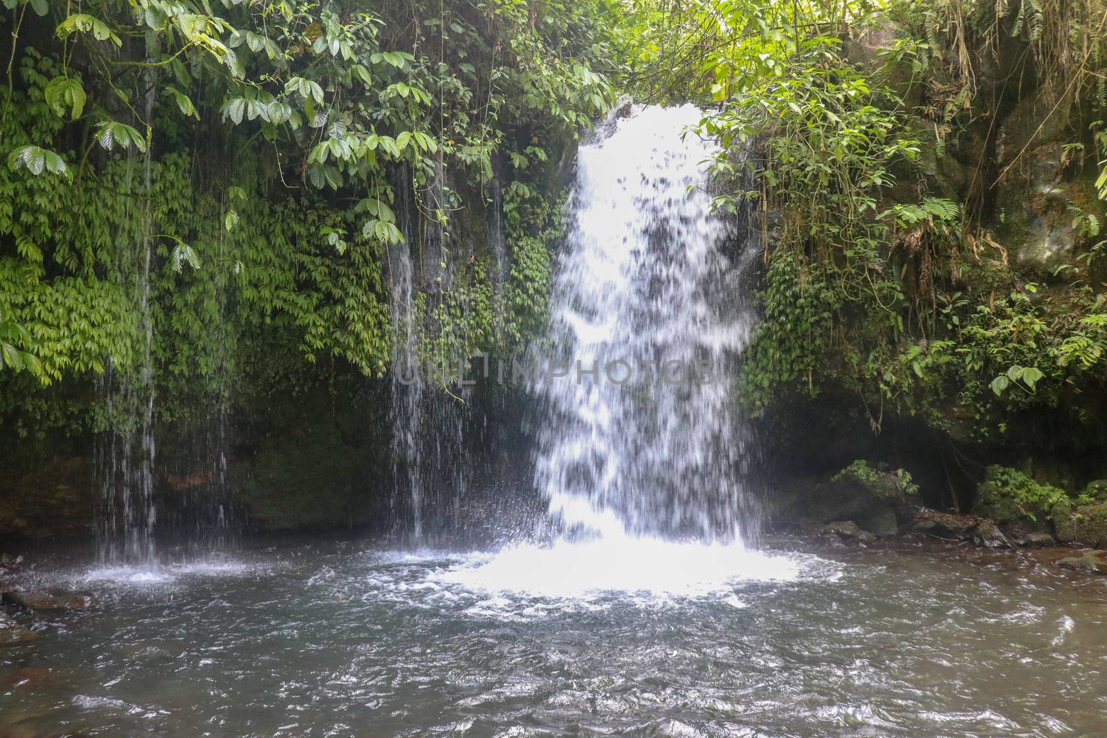 Yeh Ho Waterfall is located in the lush rice field-laden Penebel village in Tabanan. Waterfall near to Jatiluwih rice terrace in Bali, Indonesia. Beautiful waterfall in deep tropical jungle.