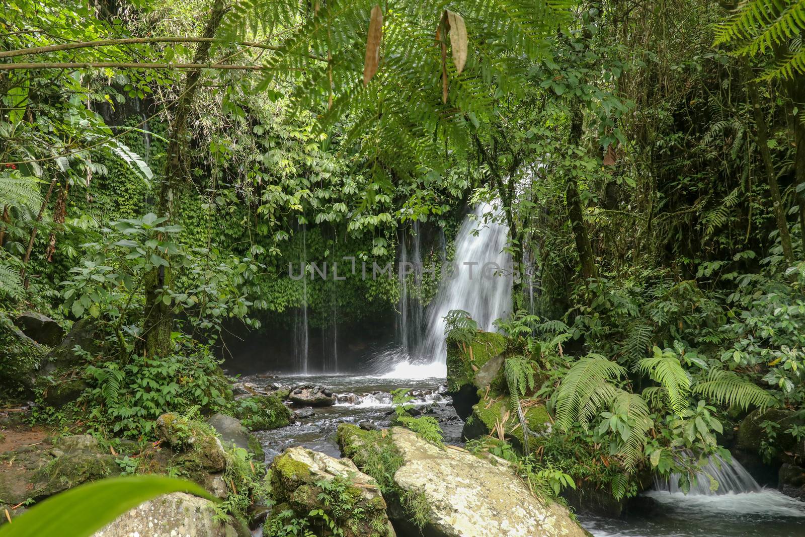 Water Flow Through Stones In Yeh Ho River in tropical jungle. Beautiful waterfall is located in the lush rice field-laden Penebel village in Tabanan near to Jatiluwih rice terrace in Bali, Indonesia.