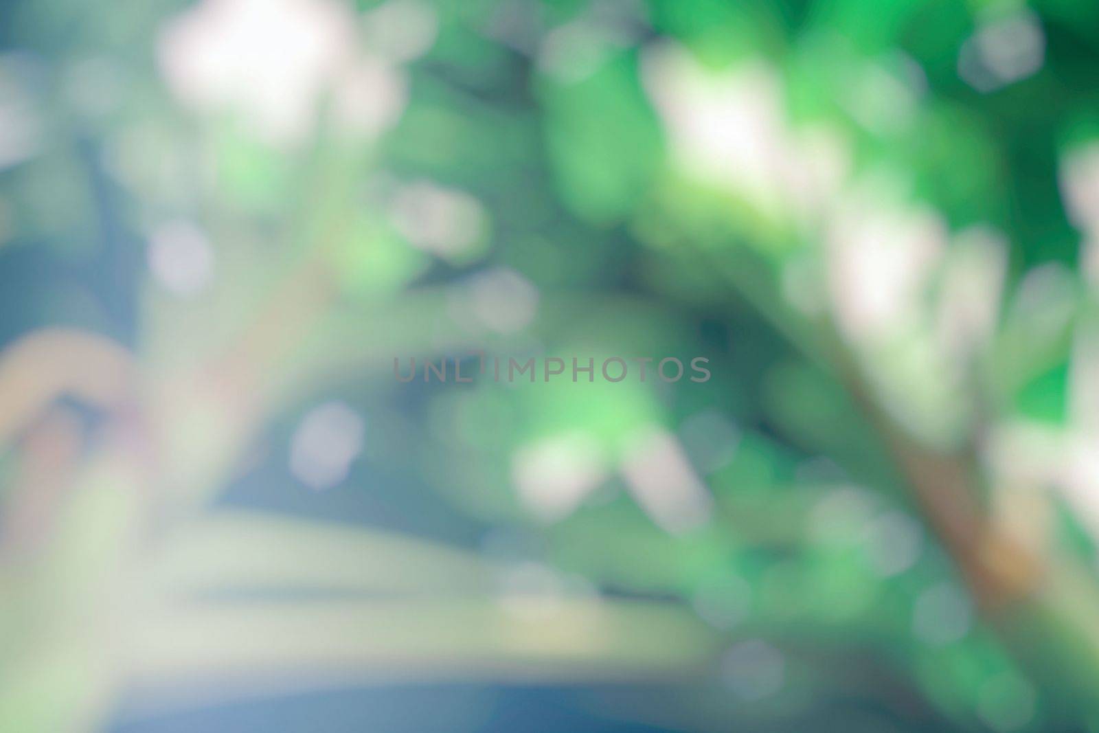 Blurred Morning Light with Bokeh in The Garden. by mesamong