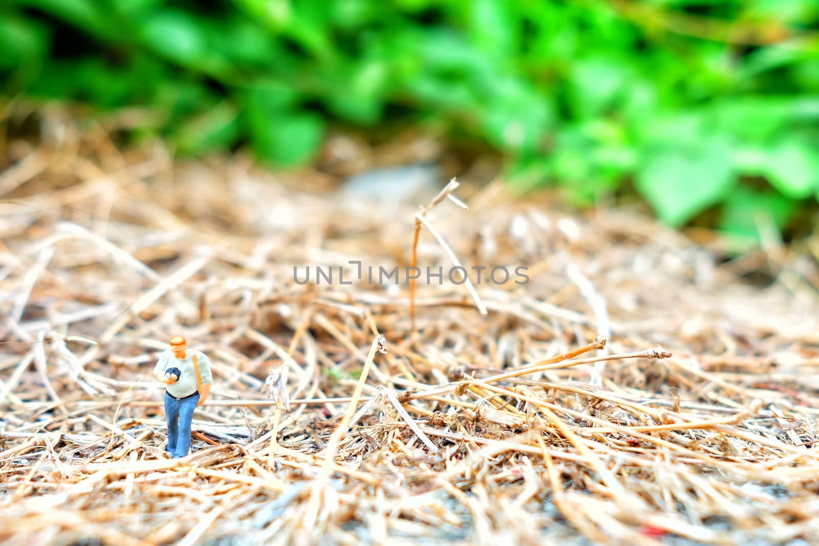Miniature Figure Photographer Walking in Dried Grass.
