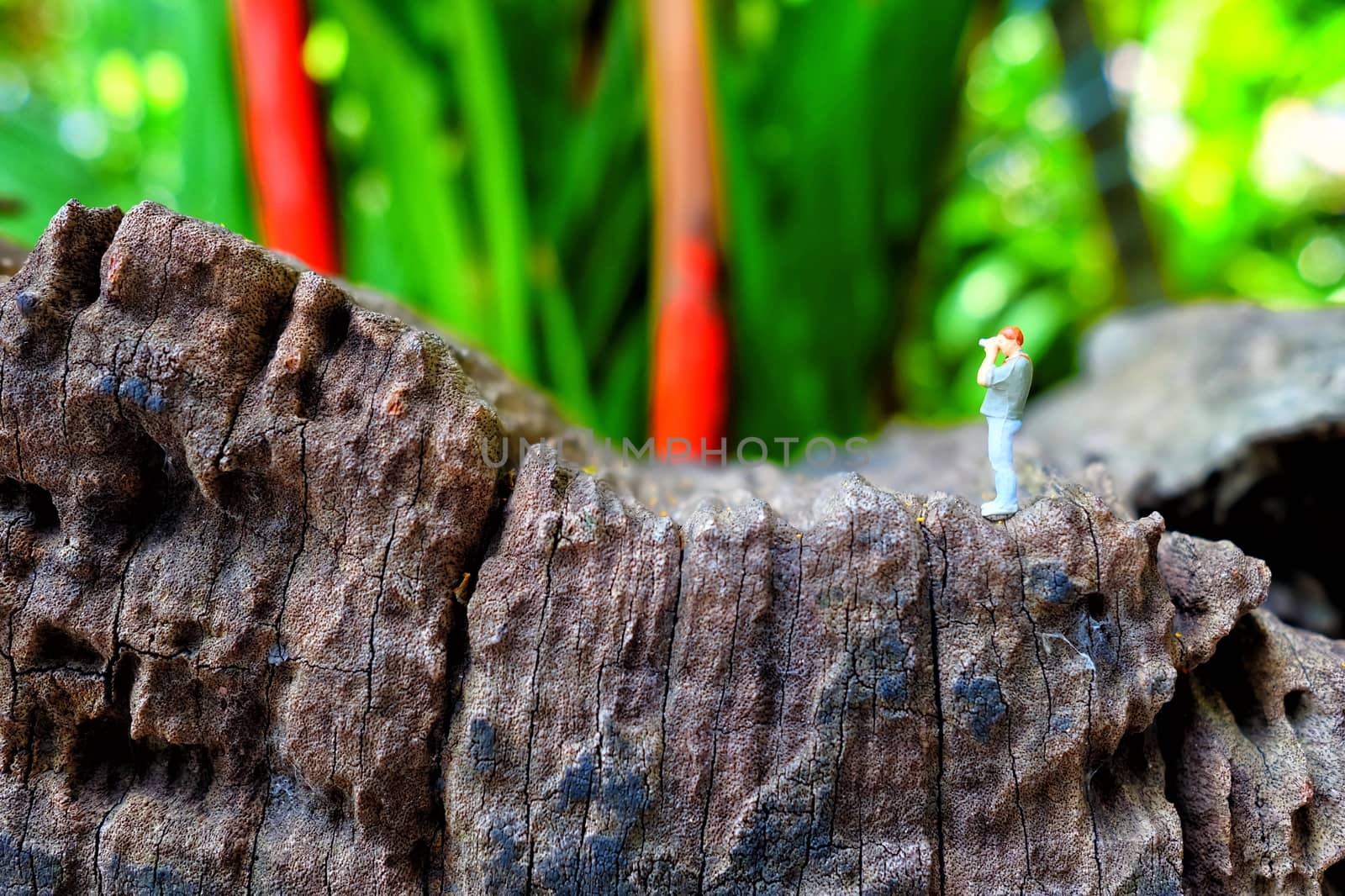 Miniature Figure Photographer with Green Park Background. by mesamong