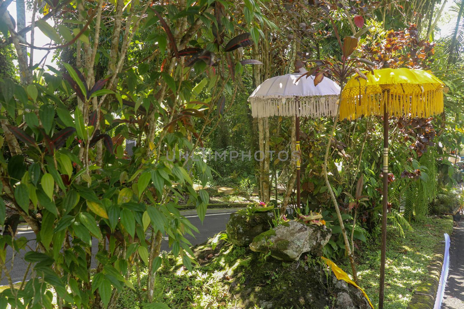 A sacred place at the driveway to Hindu temple Batukaru on Bali island in Indonesia. Sacrifices to God from believers. Closeup of stones, yellow and white decorative umbrelas among tropical plants.