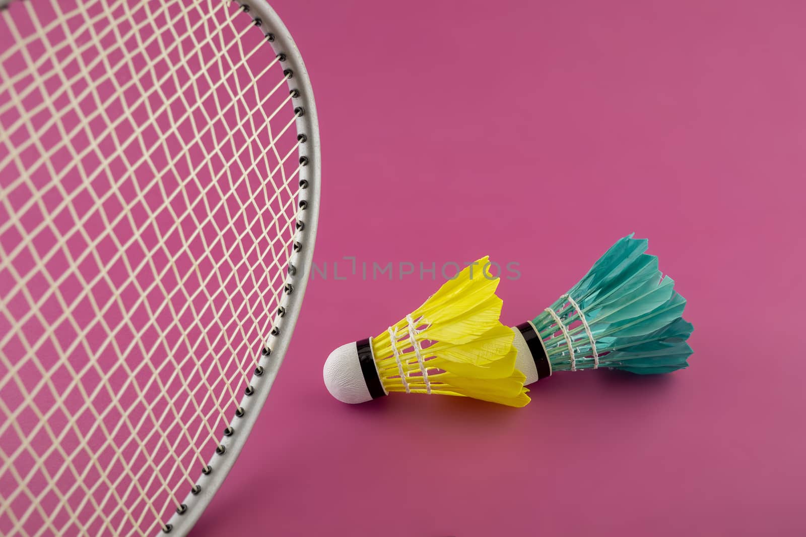 Badminton rackets and colorful feathered shuttlecocks in green and yellow on a pink background