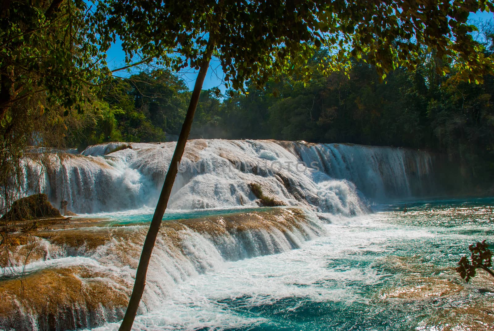 Magnificent waterfall in Mexico, beautiful scenery overlooking the waterfall Agua Azul near Palenque, state Chiapas.