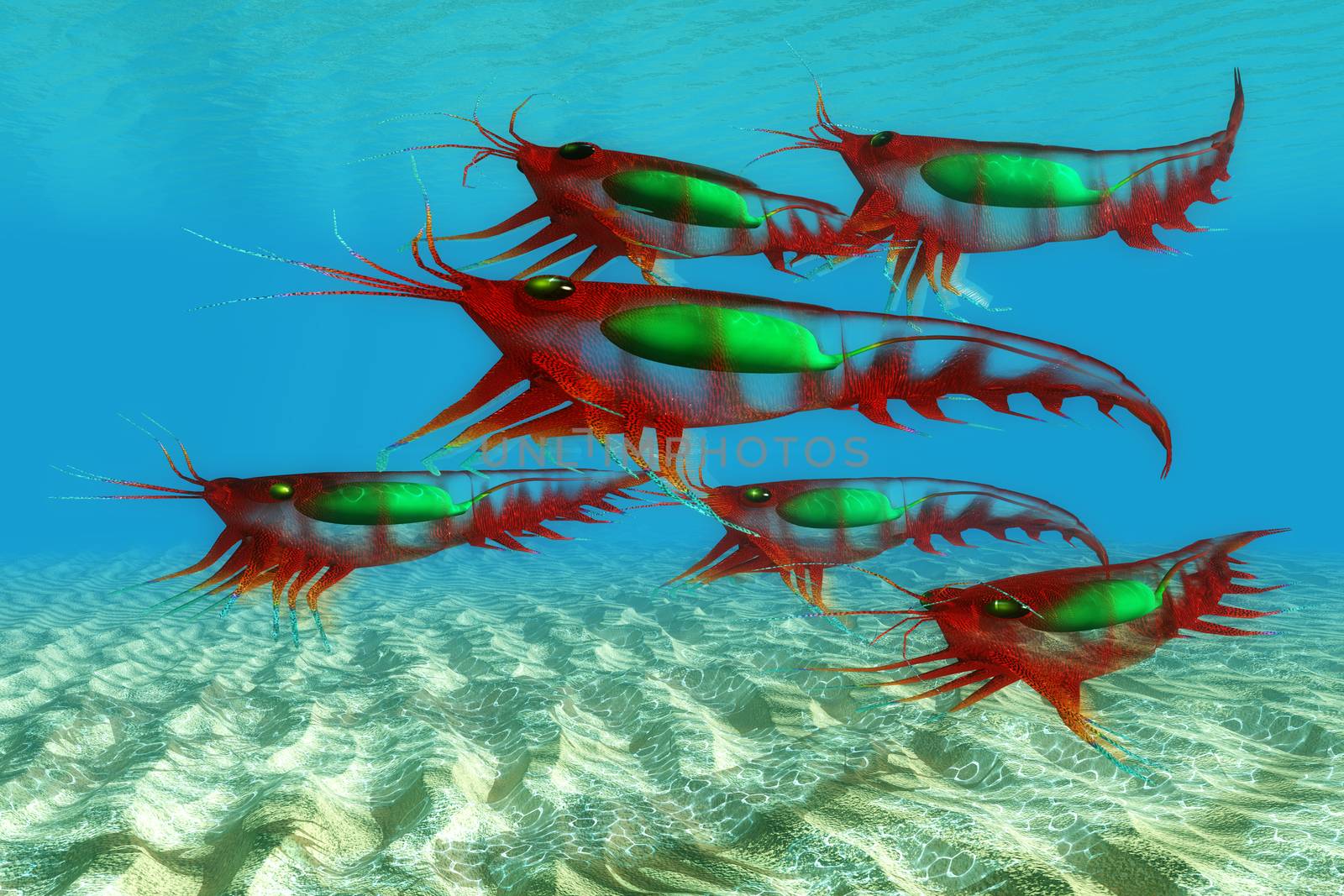 Ocean Krill Fish by Catmando
