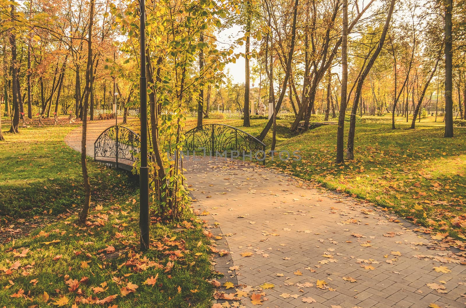 Walking path in the beautiful autumn park