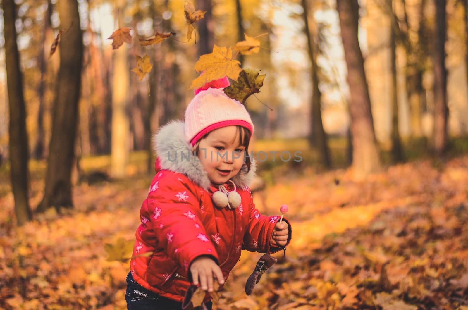 Pretty girl playing with yellow leaves in the autumn forest by chernobrovin