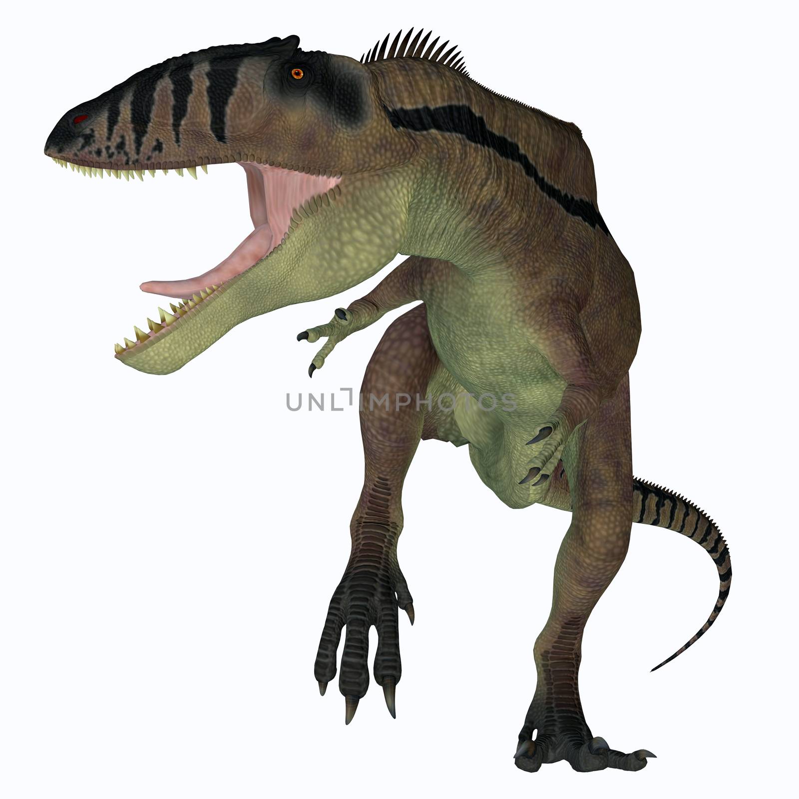Carcharodontosaurus was a predatory theropod dinosaur that lived in the Sahara, Africa during the Cretaceous Period.