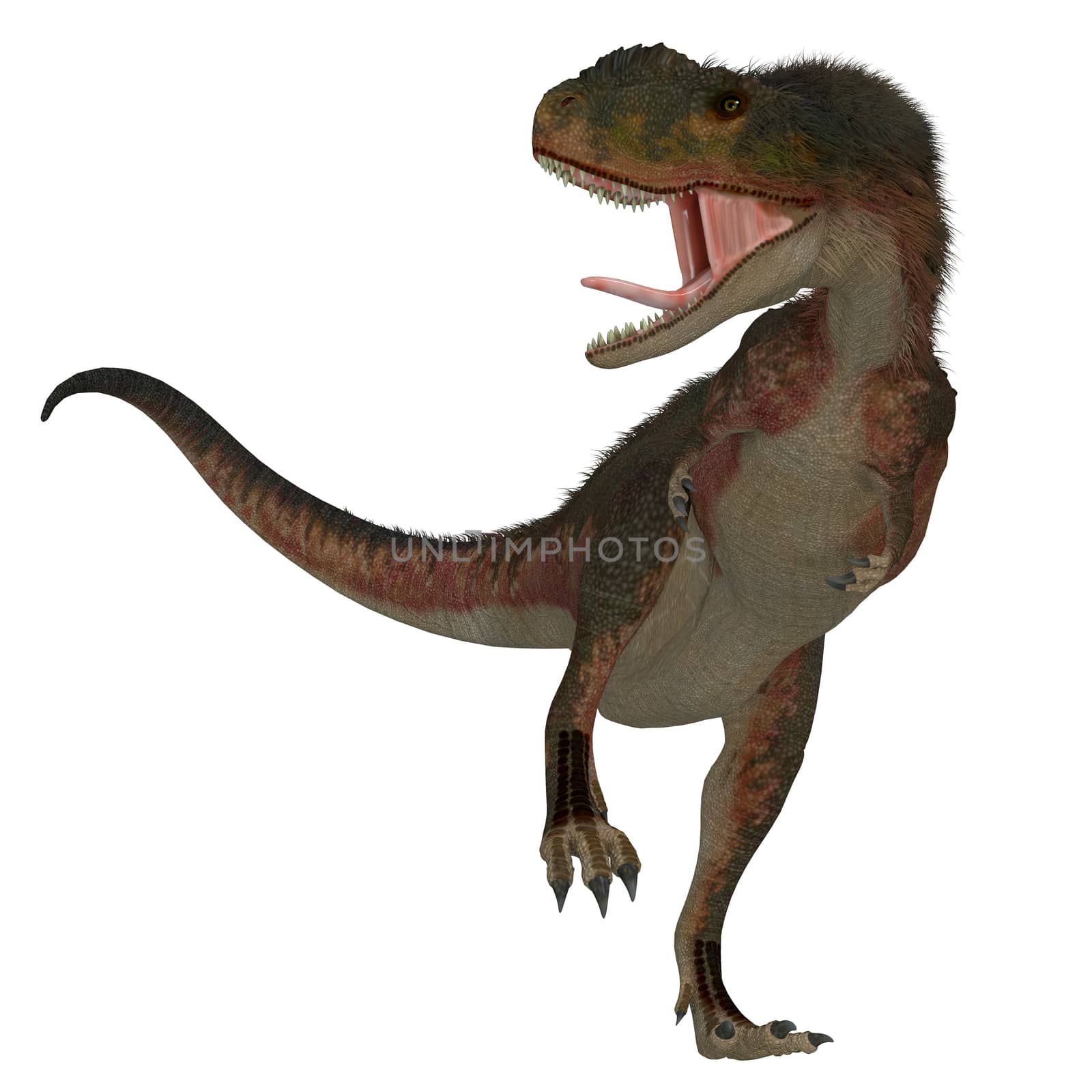 Rugops Dinosaur on White by Catmando