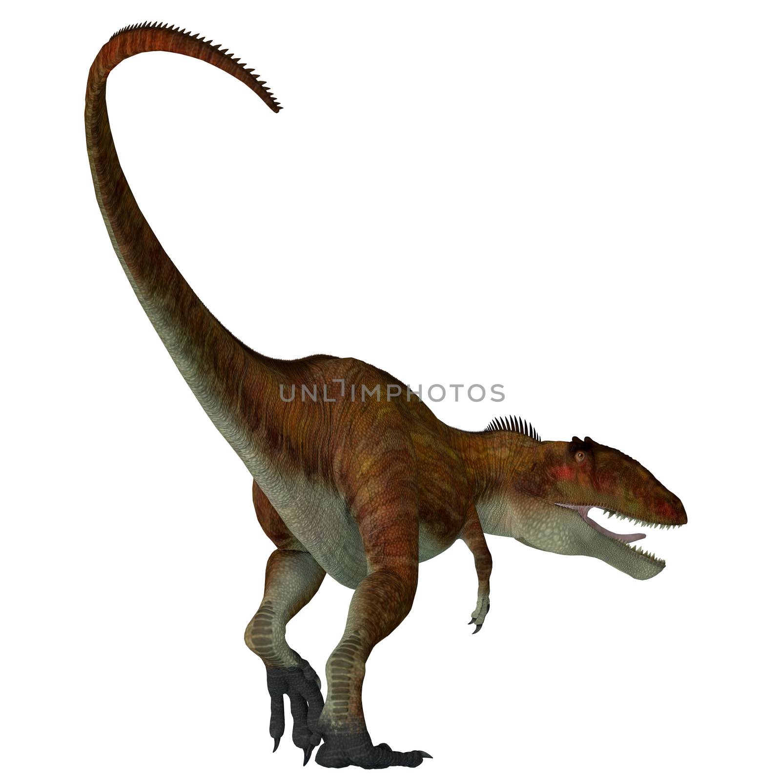 Carcharodontosaurus Dinosaur Tail by Catmando