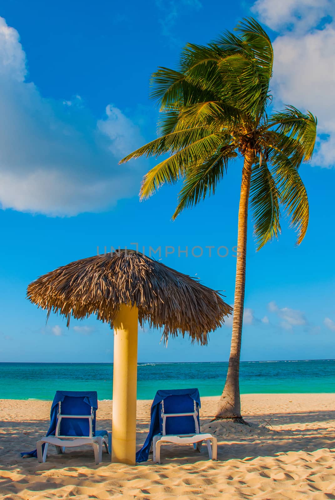 Holguin, Cuba, Playa Esmeralda. Umbrella and two lounge chairs around palm trees. Tropical beach on the Caribbean sea