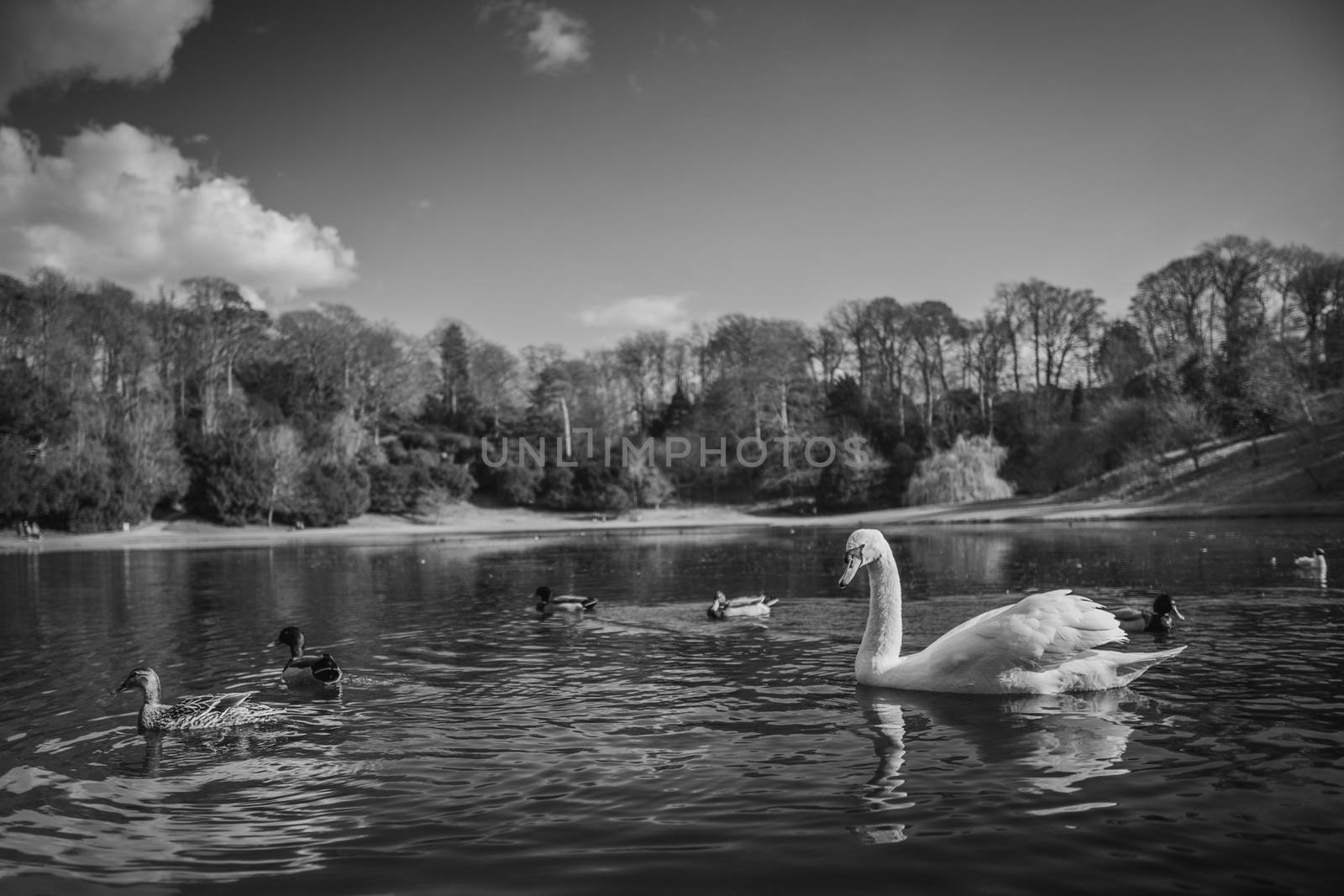 Fountains Abbey in Yorkshire