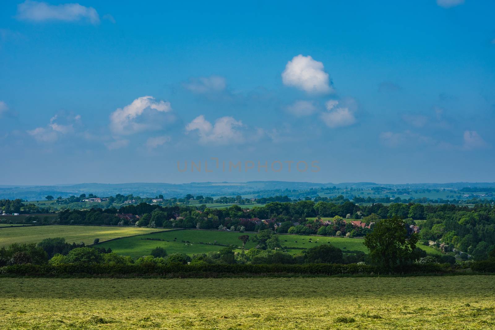 A view of the Yorkshire Countryside on a sunny day