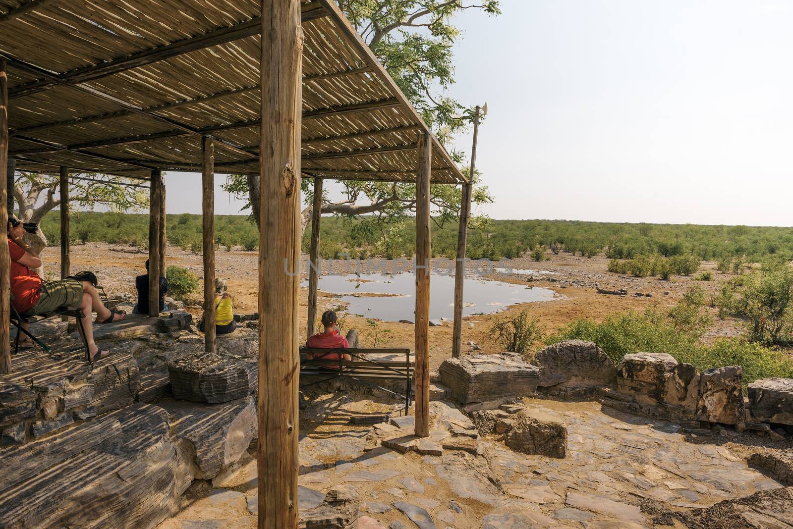 Halali, Namibia - April 3, 2019 : Tourists wait for wildlife sitting on a bench at the Moringa waterhole located near Halali campsite in Etosha National Park, Namibia