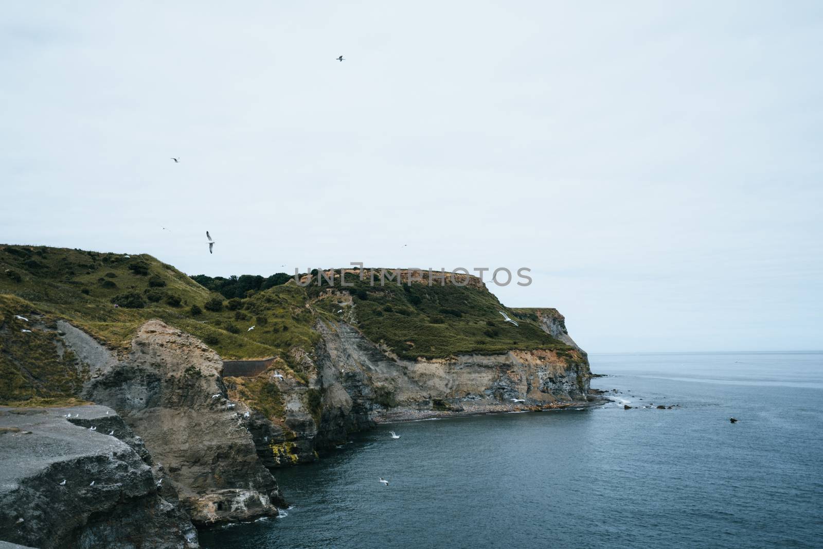 A British coastline during spring on a cliff top edge looking at the sea