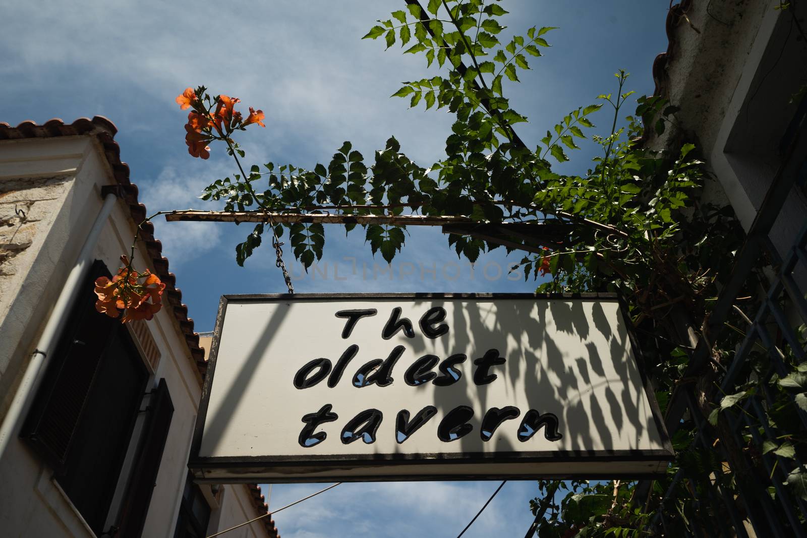 The Oldest Tavern Sign