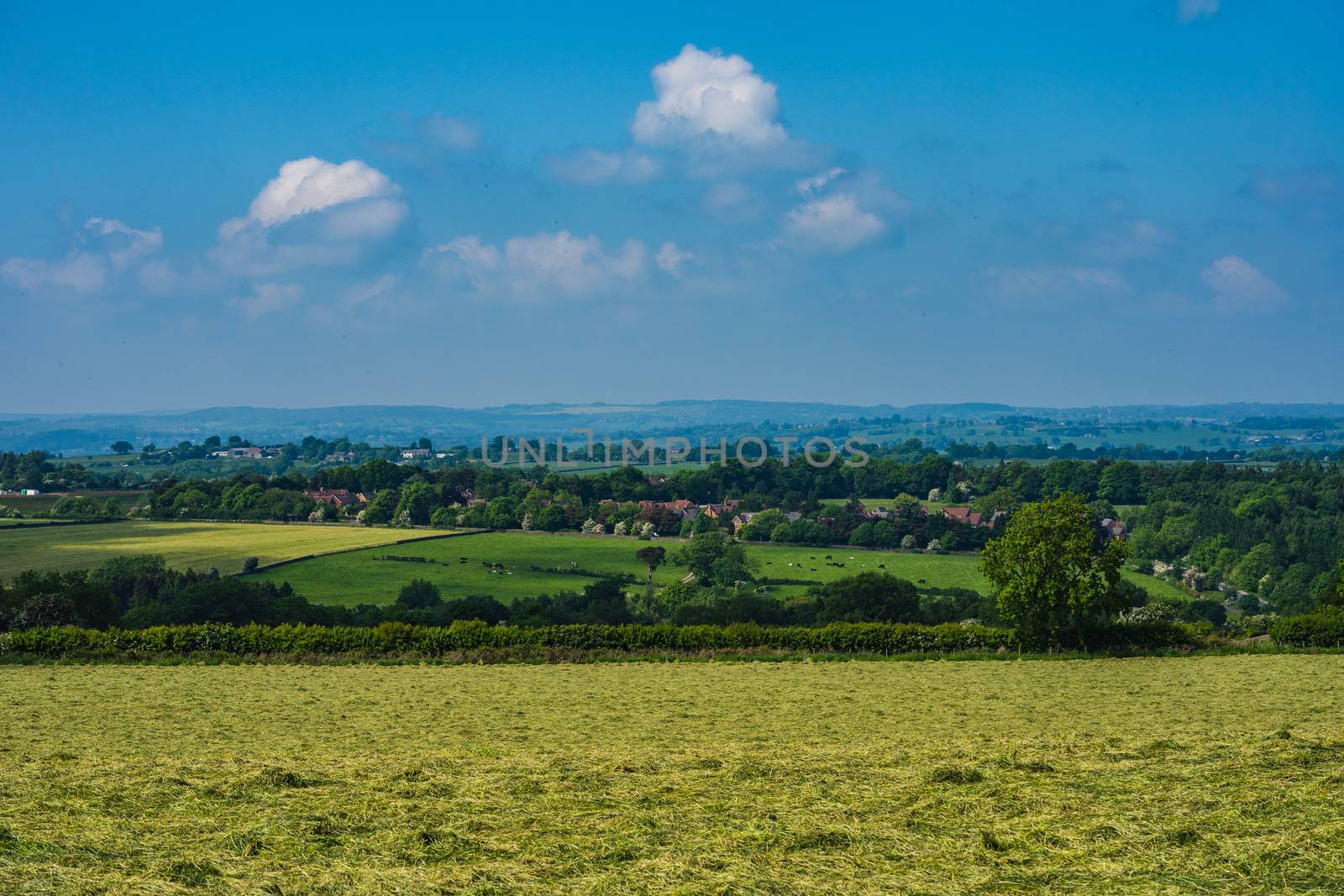 A view of the Yorkshire Countryside on a sunny day