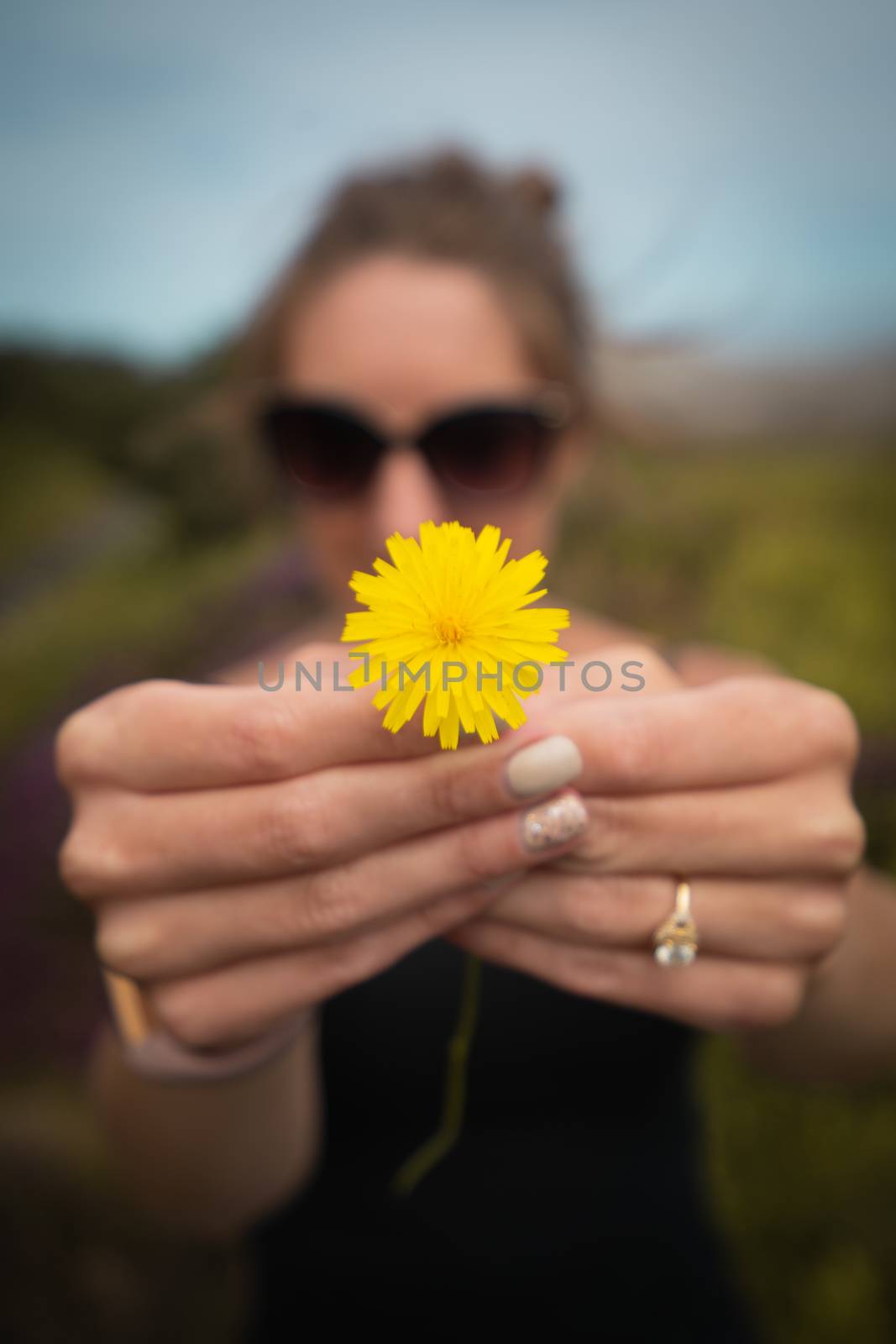 A portrait of a woman holding a yellow dandelion flower close up