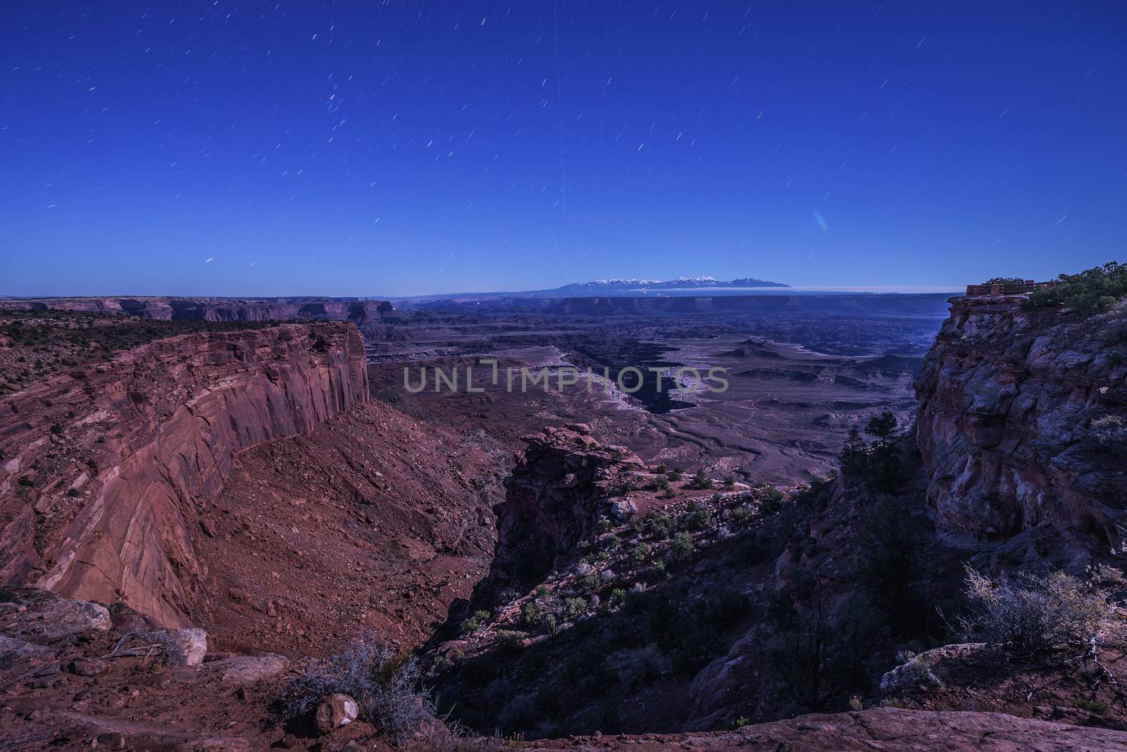 Night sky above Buck Canyon overlook in Canyonlands National Park, Utah by nickfox
