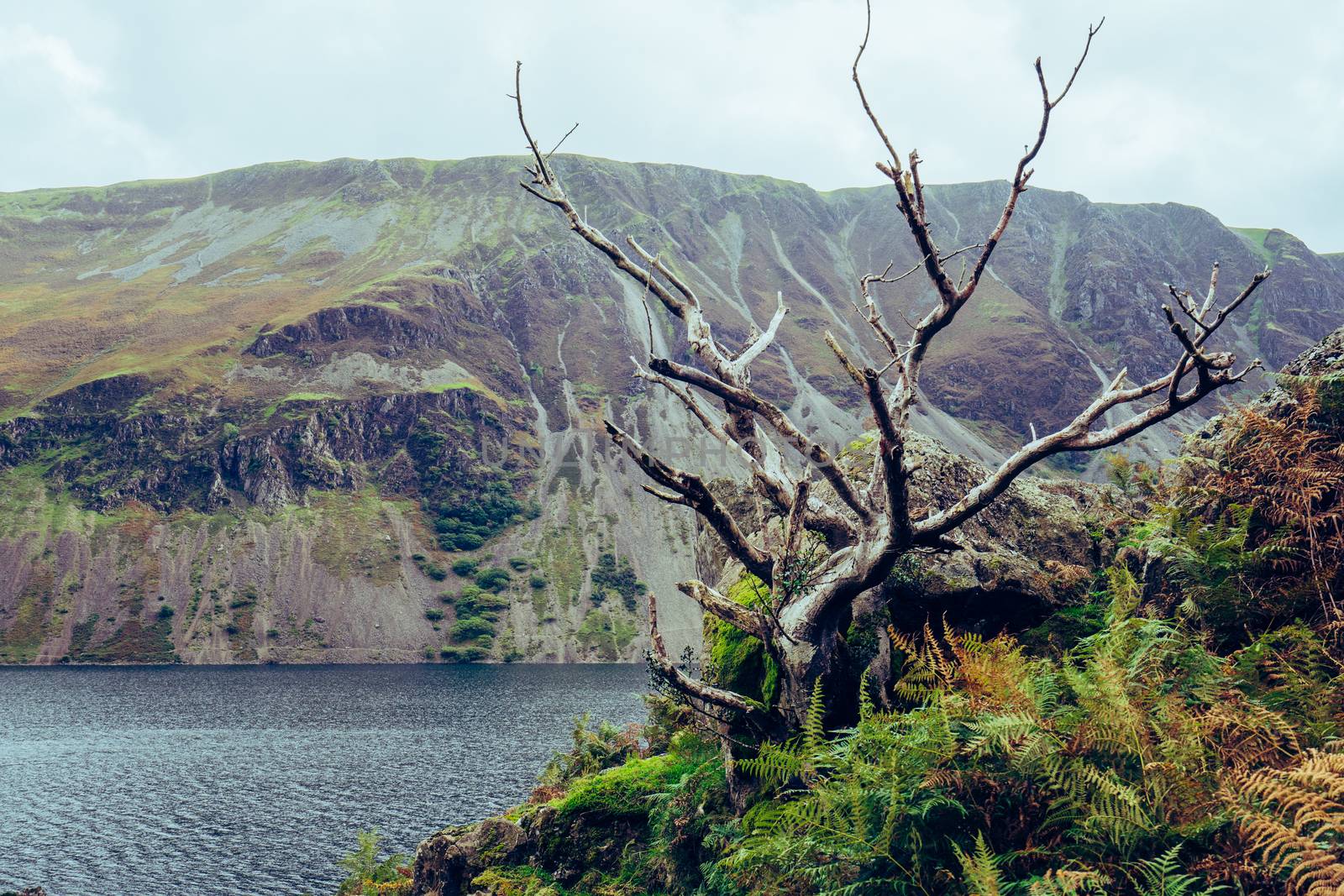 A beautiful landscape shot of Wast-water in the Lake District, England, UK