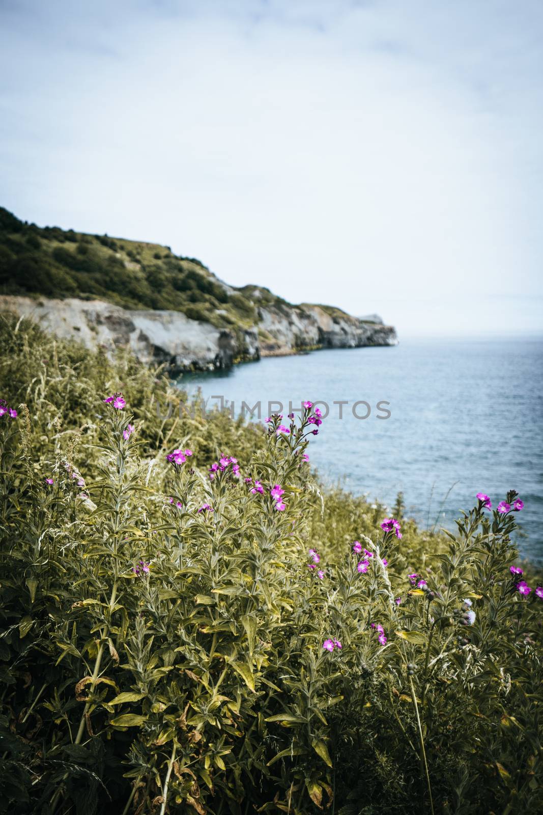 The British Coastline by samULvisuals