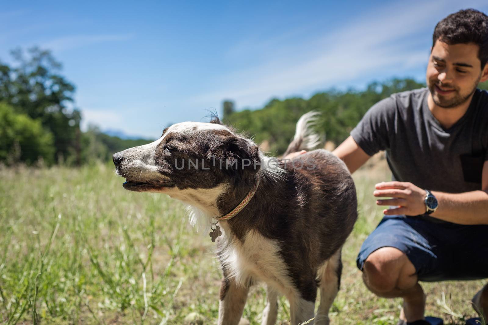 Young dog shelter volunteer petting an old rescued border collie mix