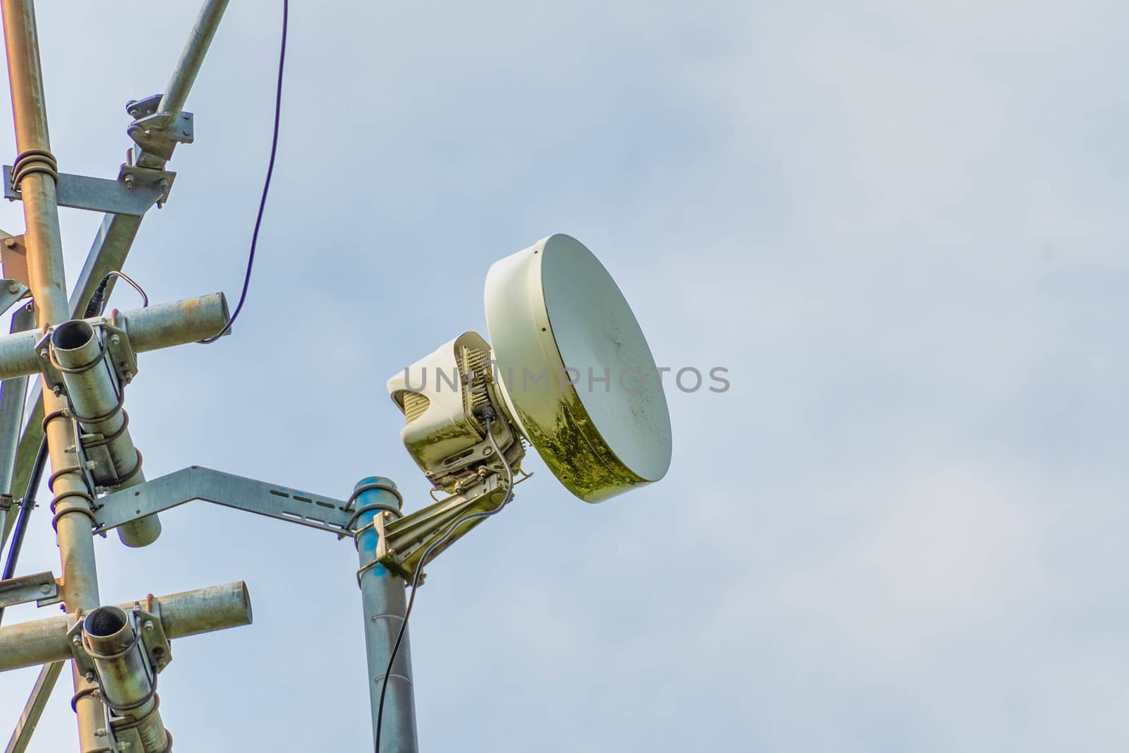 Cellular microwave  Wireless directional communication antenna of radio relay link used for mobile telecommunication