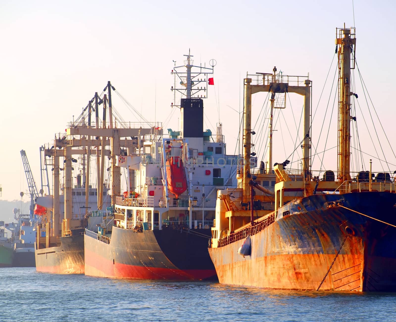 A row of cargo ships is anchored at Kaohsiung Port
