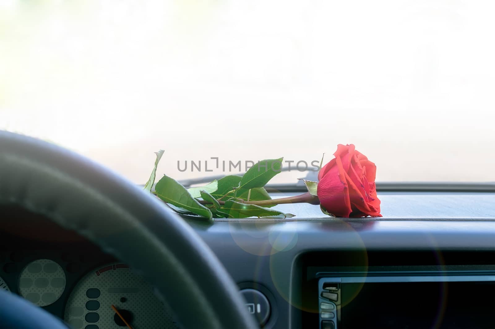 red rose flower lies on the dashboard inside the car