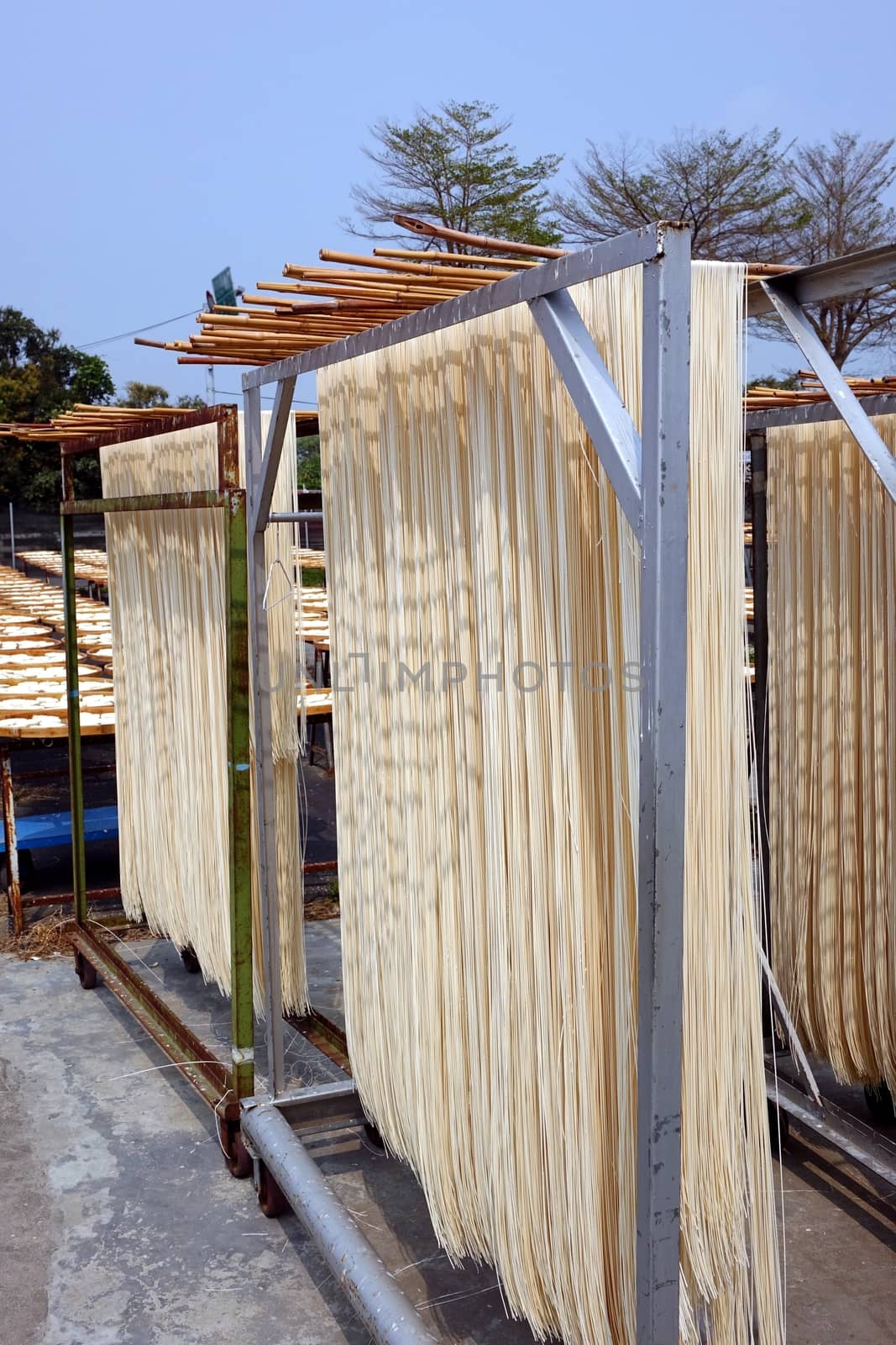 Freshly made noodles are dried in the sun, a specialty in southwest Taiwan
